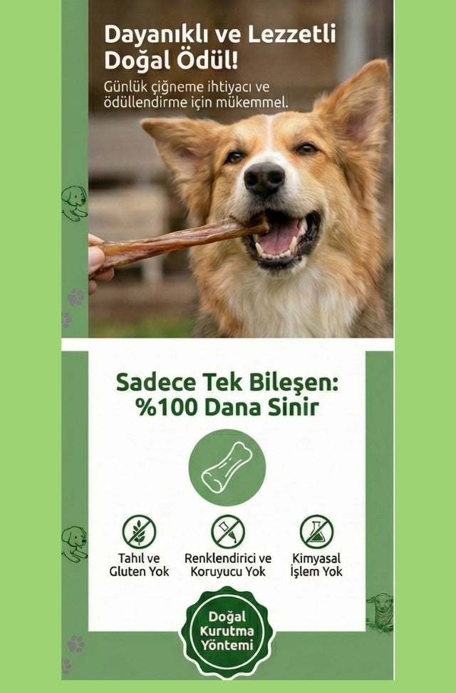 Dana İnce Sinir Çiğnemelik Köpek Ödül Maması %100 Doğal, Glutensiz, Organik 100 gr
